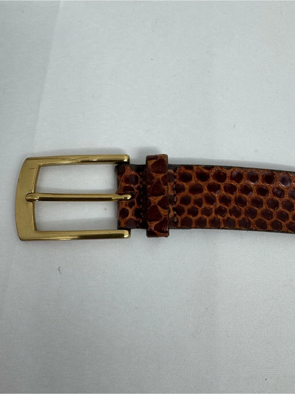 Trafalgar Size 42 Amazona Anaconda Belt Snakeskin Dress Brown Made in USA
